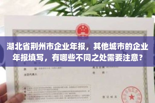 湖北省荆州市企业年报，其他城市的企业年报填写，有哪些不同之处需要注意？