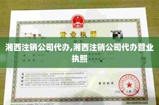 湘西注销公司代办,湘西注销公司代办营业执照