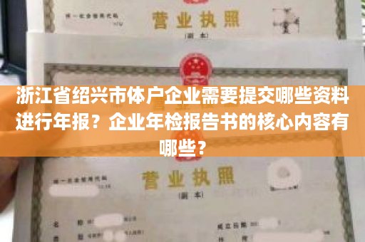 浙江省绍兴市体户企业需要提交哪些资料进行年报？企业年检报告书的核心内容有哪些？