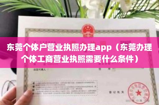 东莞个体户营业执照办理app（东莞办理个体工商营业执照需要什么条件）