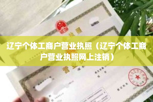 辽宁个体工商户营业执照（辽宁个体工商户营业执照网上注销）