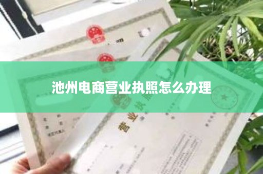 池州电商营业执照怎么办理