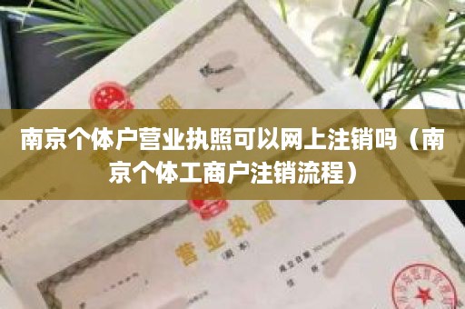 南京个体户营业执照可以网上注销吗（南京个体工商户注销流程）