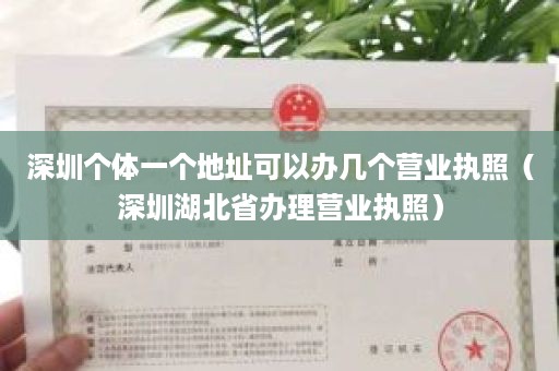 深圳个体一个地址可以办几个营业执照（深圳湖北省办理营业执照）