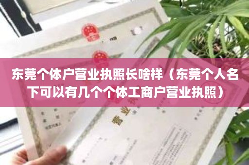 东莞个体户营业执照长啥样（东莞个人名下可以有几个个体工商户营业执照）