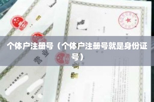 个体户注册号（个体户注册号就是身份证号）