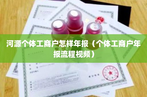 河源个体工商户怎样年报（个体工商户年报流程视频）