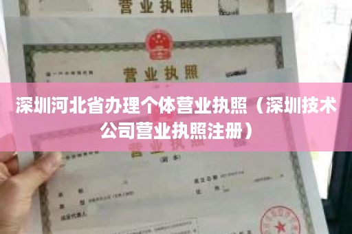 深圳河北省办理个体营业执照（深圳技术公司营业执照注册）