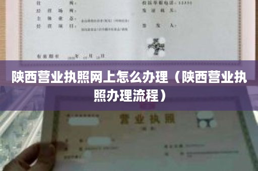 陕西营业执照网上怎么办理（陕西营业执照办理流程）