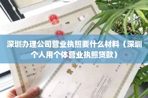 深圳办理公司营业执照要什么材料（深圳个人用个体营业执照贷款）