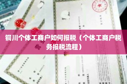 铜川个体工商户如何报税（个体工商户税务报税流程）