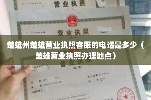 楚雄州楚雄营业执照客服的电话是多少（楚雄营业执照办理地点）