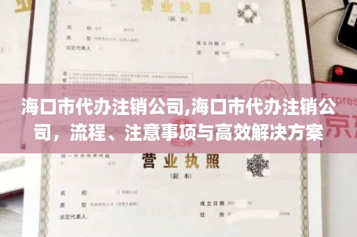 海口市代办注销公司,海口市代办注销公司，流程、注意事项与高效解决方案