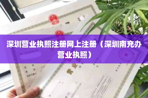 深圳营业执照注册网上注册（深圳南充办营业执照）