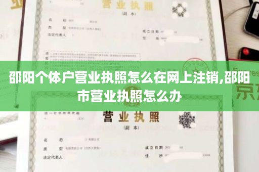 邵阳个体户营业执照怎么在网上注销,邵阳市营业执照怎么办