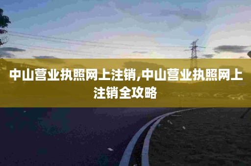 中山营业执照网上注销,中山营业执照网上注销全攻略