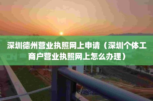 深圳德州营业执照网上申请（深圳个体工商户营业执照网上怎么办理）