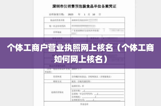 个体工商户营业执照网上核名（个体工商如何网上核名）