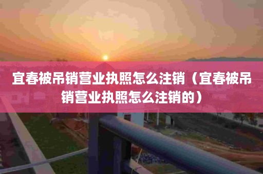 宜春被吊销营业执照怎么注销（宜春被吊销营业执照怎么注销的）