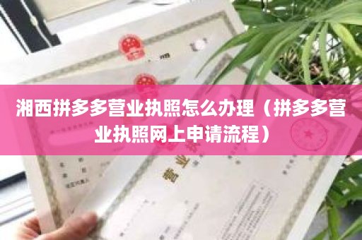 湘西拼多多营业执照怎么办理（拼多多营业执照网上申请流程）