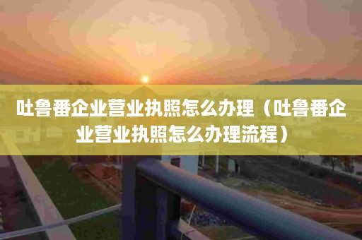 吐鲁番企业营业执照怎么办理（吐鲁番企业营业执照怎么办理流程）