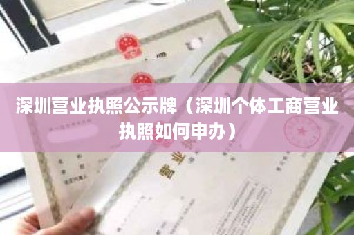 深圳营业执照公示牌（深圳个体工商营业执照如何申办）