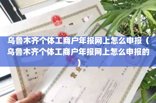 乌鲁木齐个体工商户年报网上怎么申报（乌鲁木齐个体工商户年报网上怎么申报的）