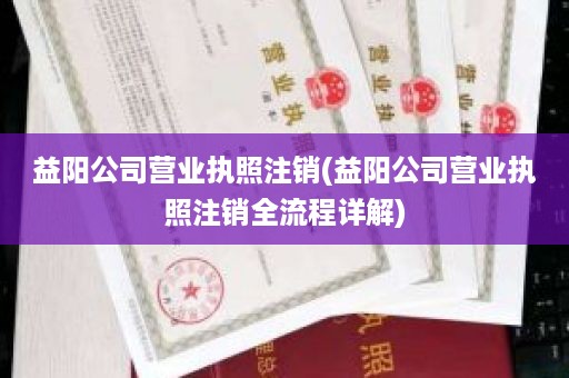 益阳公司营业执照注销(益阳公司营业执照注销全流程详解)