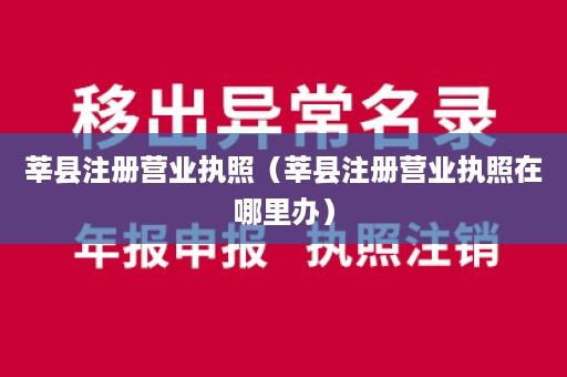 莘县注册营业执照（莘县注册营业执照在哪里办）