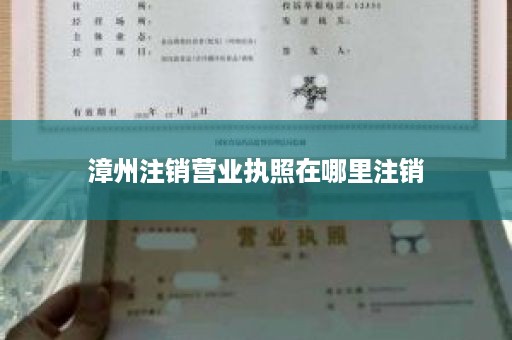 漳州注销营业执照在哪里注销