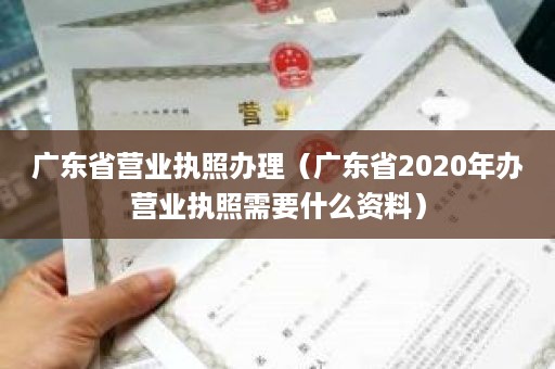 广东省营业执照办理（广东省2020年办营业执照需要什么资料）