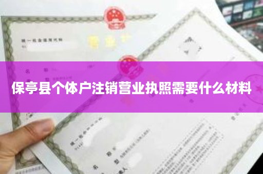 保亭县个体户注销营业执照需要什么材料