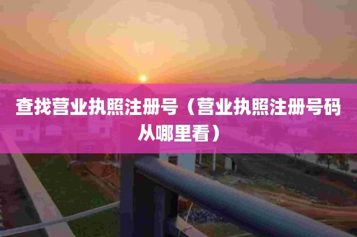 查找营业执照注册号（营业执照注册号码从哪里看）