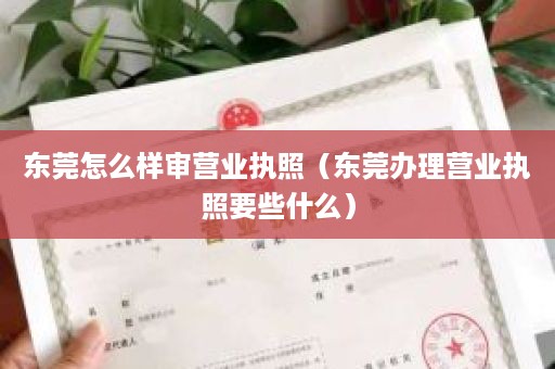 东莞怎么样审营业执照（东莞办理营业执照要些什么）