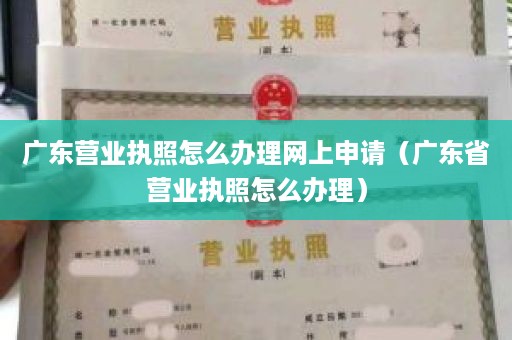 广东营业执照怎么办理网上申请（广东省营业执照怎么办理）