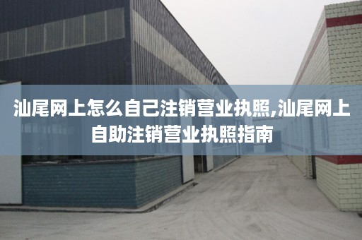 汕尾网上怎么自己注销营业执照,汕尾网上自助注销营业执照指南