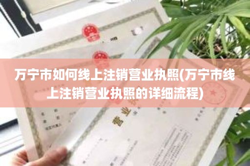 万宁市如何线上注销营业执照(万宁市线上注销营业执照的详细流程)