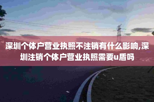 深圳个体户营业执照不注销有什么影响,深圳注销个体户营业执照需要u盾吗