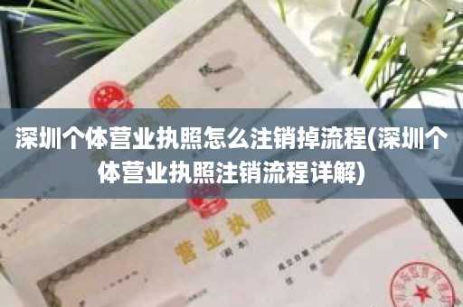 深圳个体营业执照怎么注销掉流程(深圳个体营业执照注销流程详解)