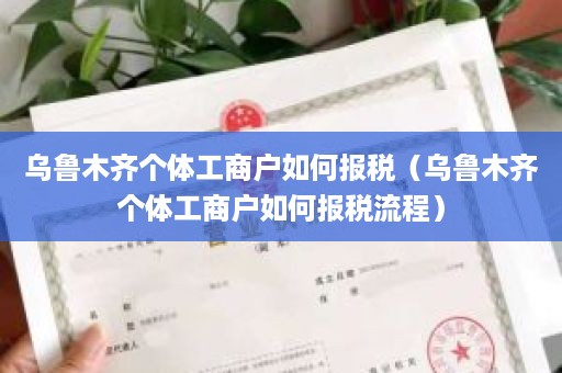 乌鲁木齐个体工商户如何报税（乌鲁木齐个体工商户如何报税流程）