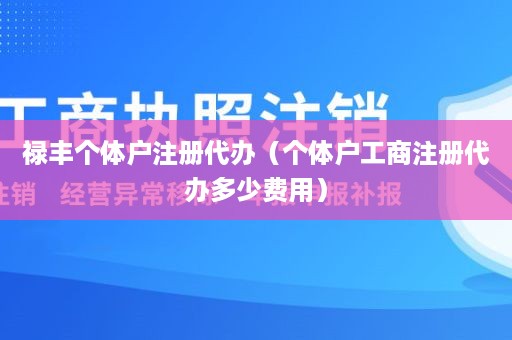 禄丰个体户注册代办（个体户工商注册代办多少费用）