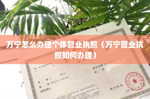 万宁怎么办理个体营业执照（万宁营业执照如何办理）