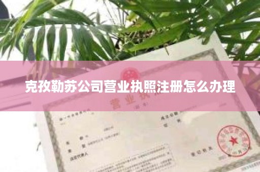 克孜勒苏公司营业执照注册怎么办理