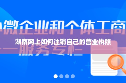 湖南网上如何注销自己的营业执照