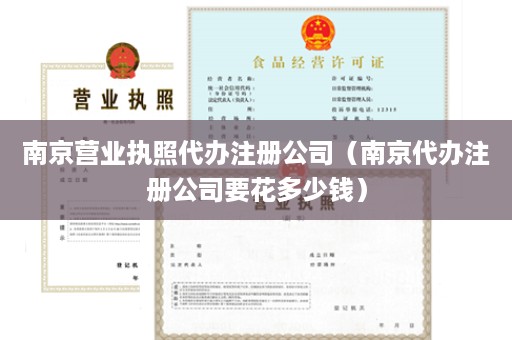 南京营业执照代办注册公司（南京代办注册公司要花多少钱）