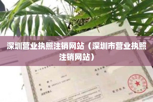 深圳营业执照注销网站（深圳市营业执照注销网站）