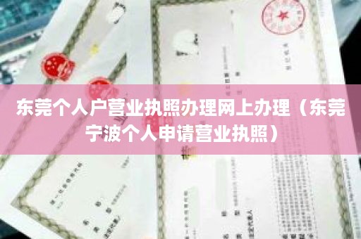 东莞个人户营业执照办理网上办理（东莞宁波个人申请营业执照）