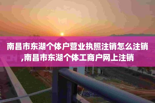 南昌市东湖个体户营业执照注销怎么注销,南昌市东湖个体工商户网上注销