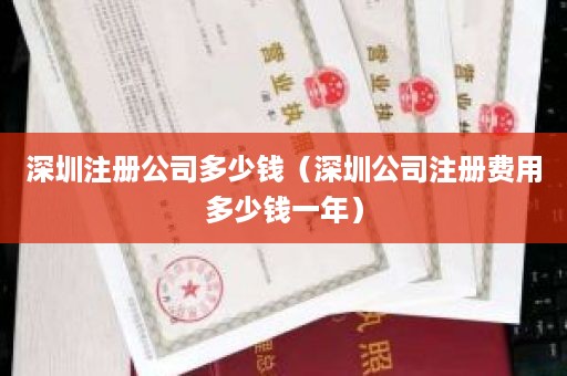 深圳注册公司多少钱（深圳公司注册费用多少钱一年）