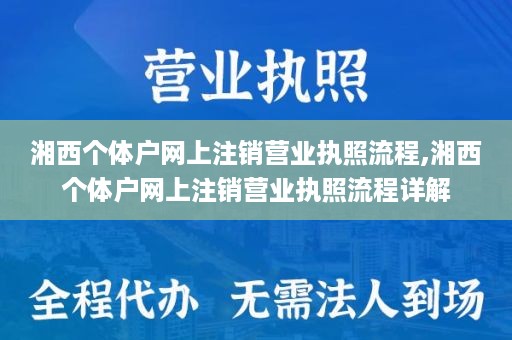 湘西个体户网上注销营业执照流程,湘西个体户网上注销营业执照流程详解